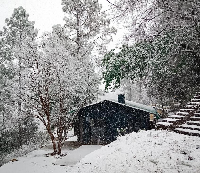 Mulberry House Hotel Almora Kültér fotó